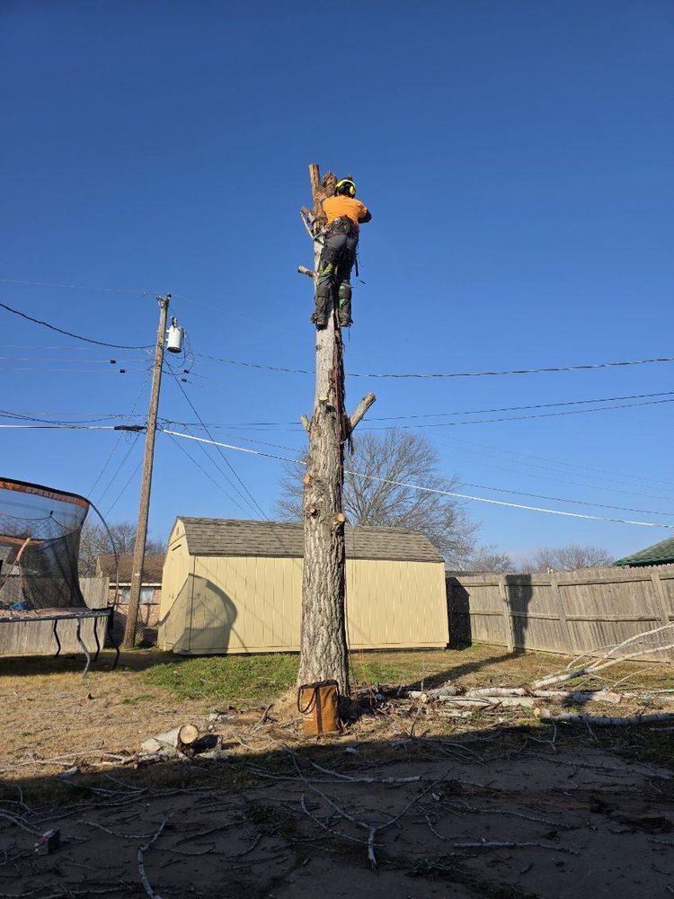 All Photos for Oklahoma Tree Guy in Bartlesville, OK