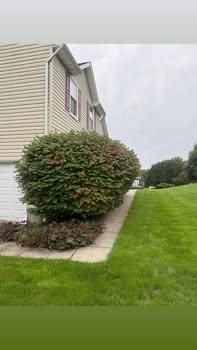 All Photos for RDR Landscaping in Baltimore, MD