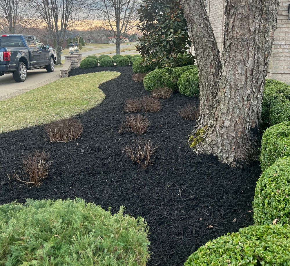 All Photos for Full Service Landscaping in Louisville, KY