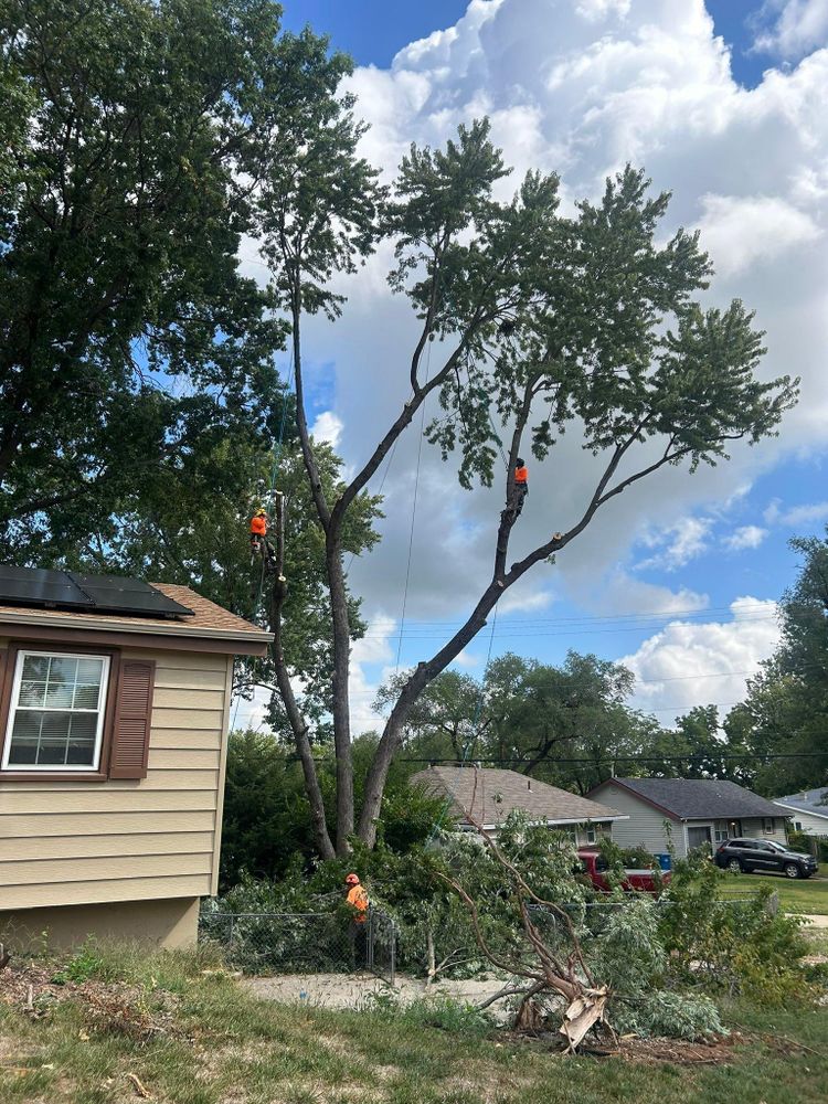 All Photos for Cross Family Tree Service in Kearney, MO