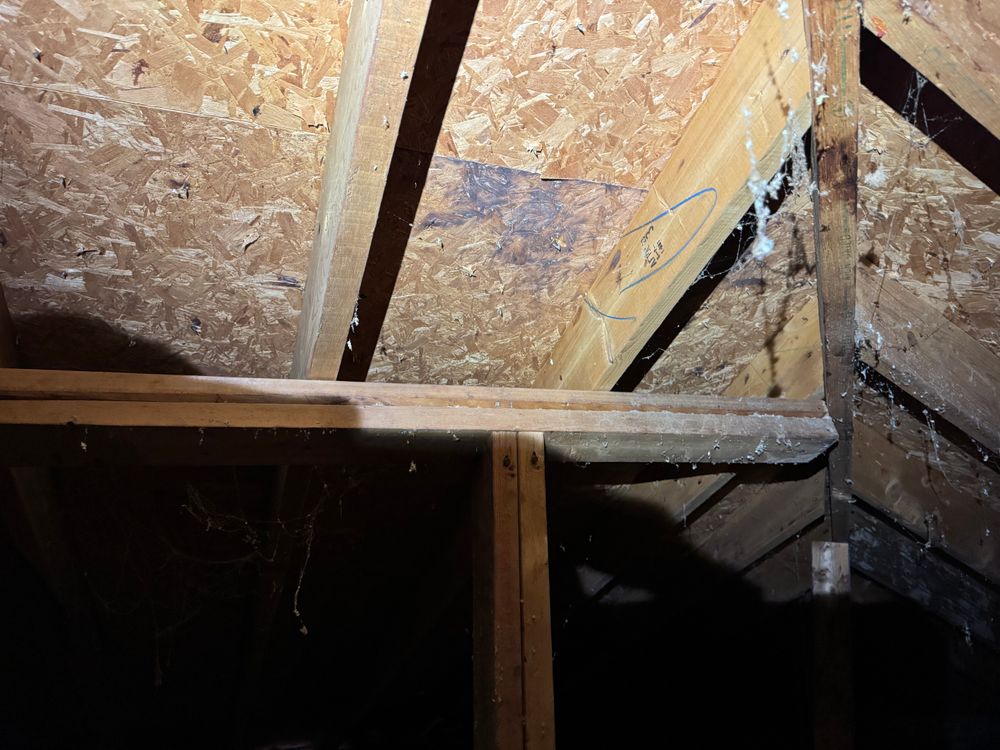 All Photos for FNS Exterior Consulting LLC, Powered By Live OAK in Cumming, GA