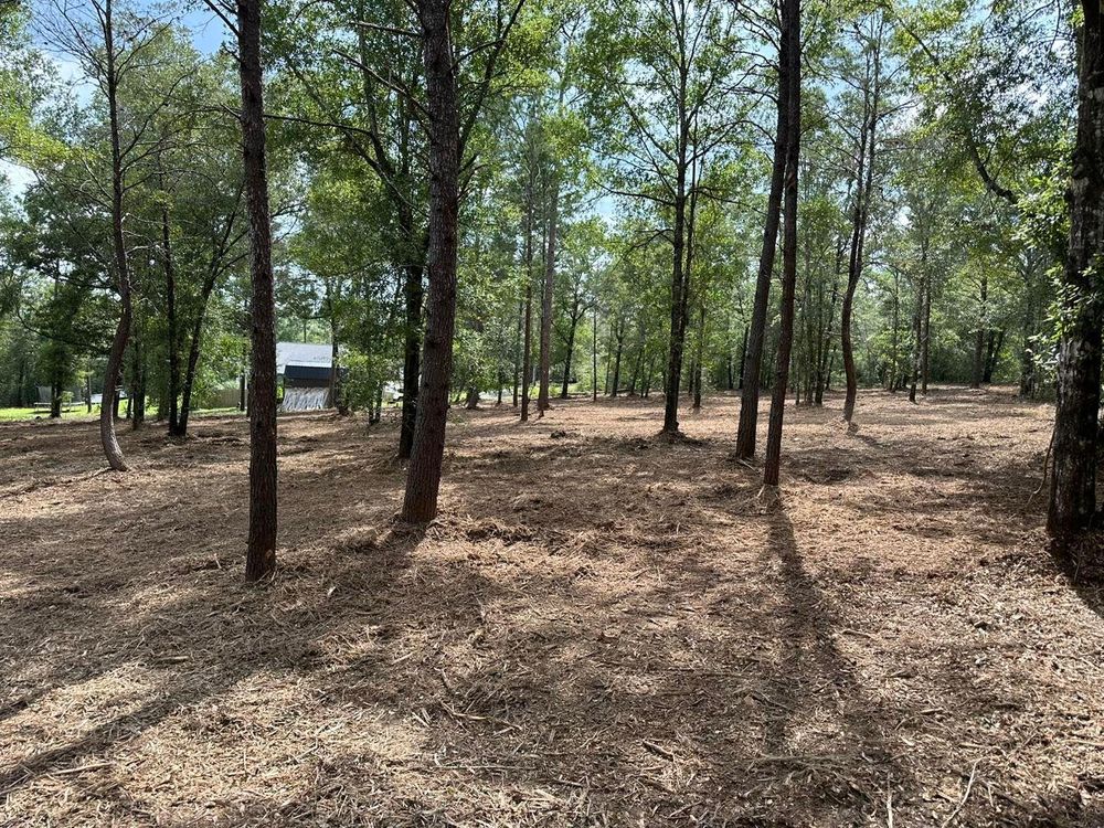 All Photos for White’s Land Maintenance in Milton,, FL