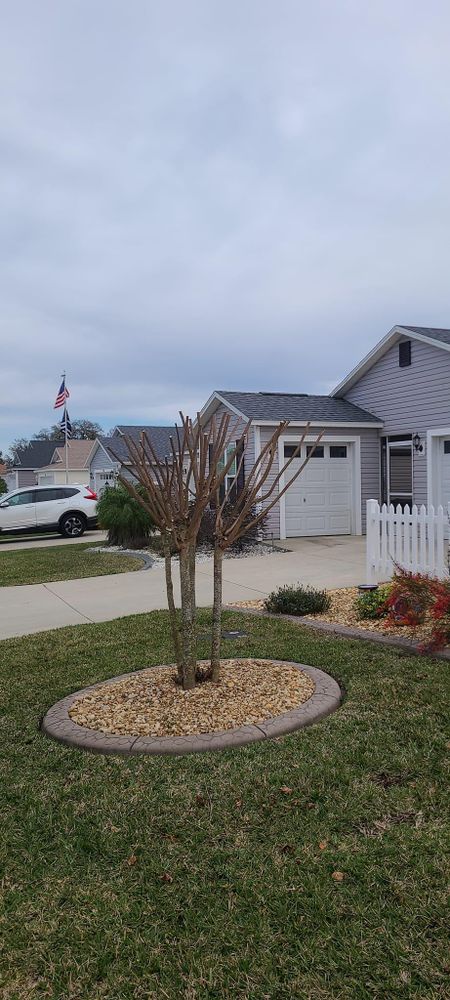 All Photos for TopNotch Landscaping Services  in The Villages, FL