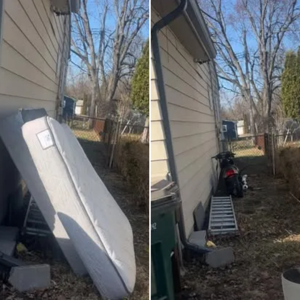 All Photos for Quick Removal Solutions in Lansing, MI