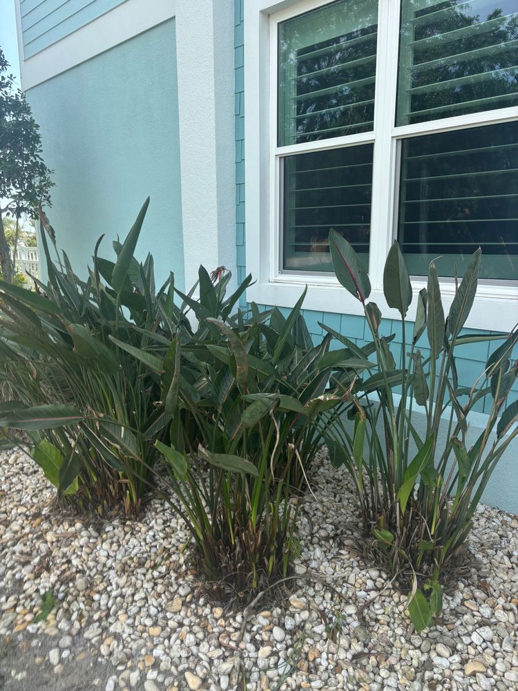 All Photos for Vanic's Landscaping in Port Orange, FL