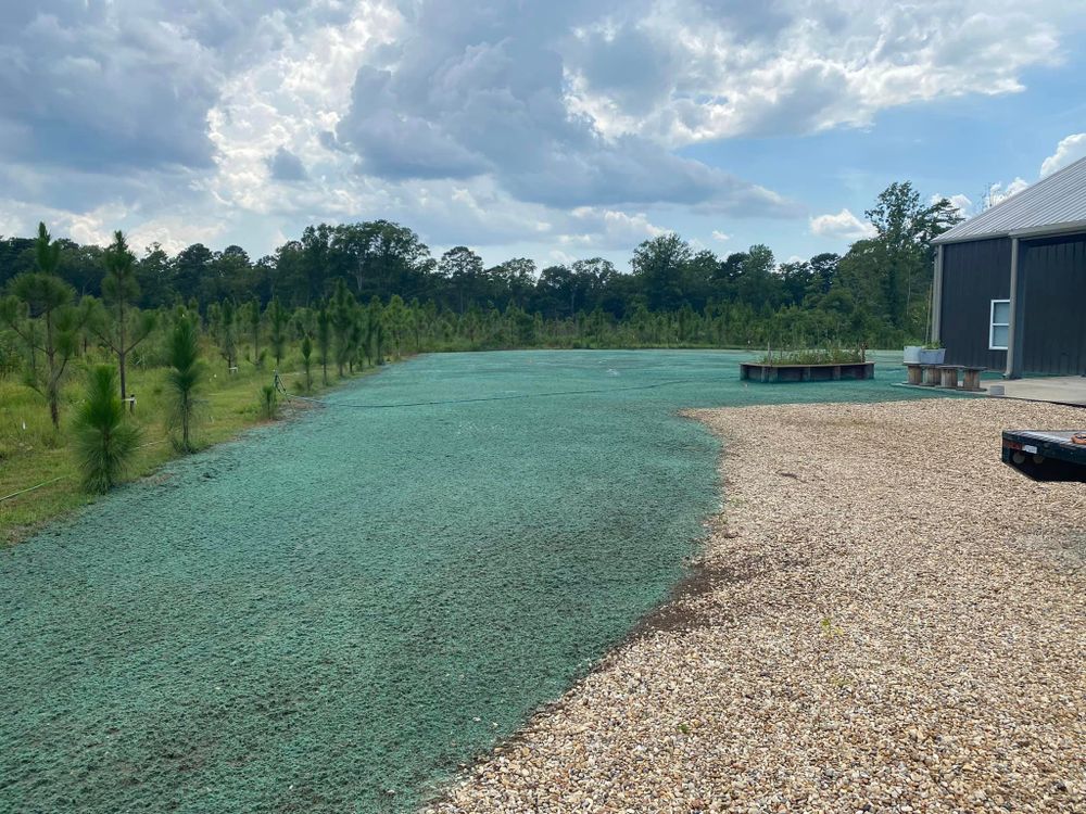 Hydroseeding for Holland Hydroseeding LLC in Columbia, MS