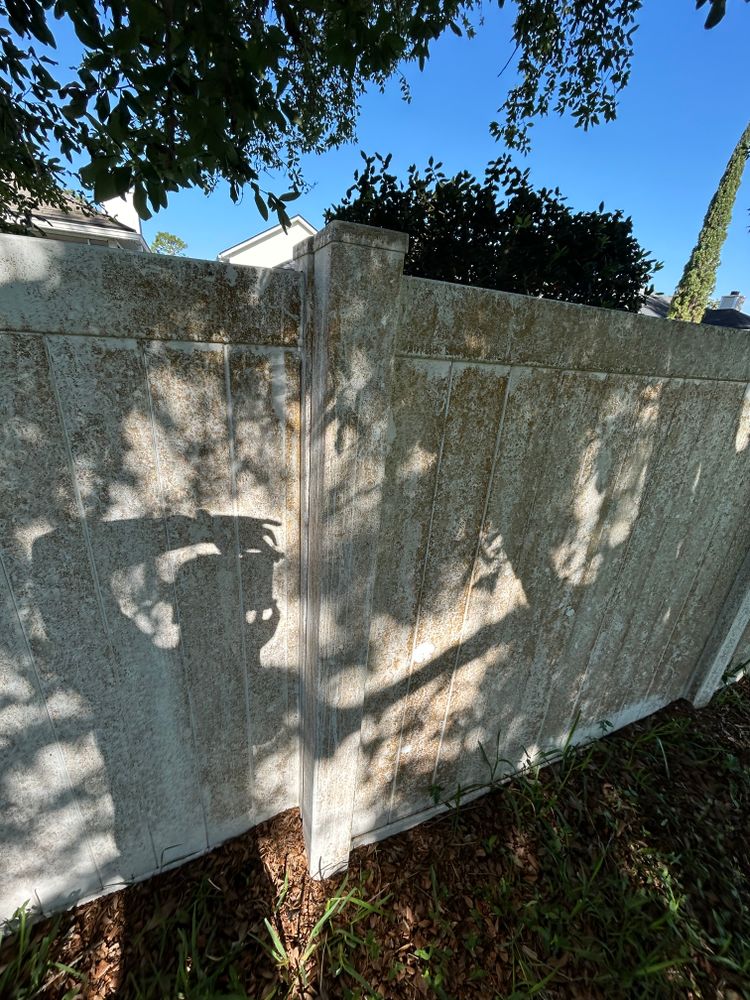 All Photos for Project Masters Group in Tampa, FL