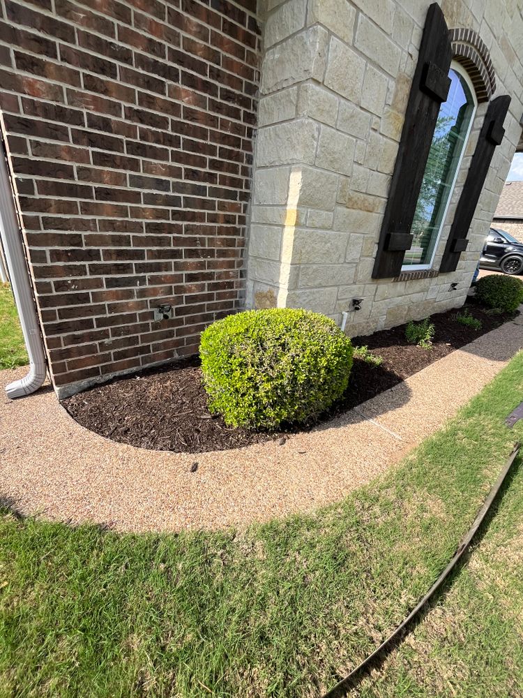 All Photos for Piña’s Lawncare in Limestone County, TX