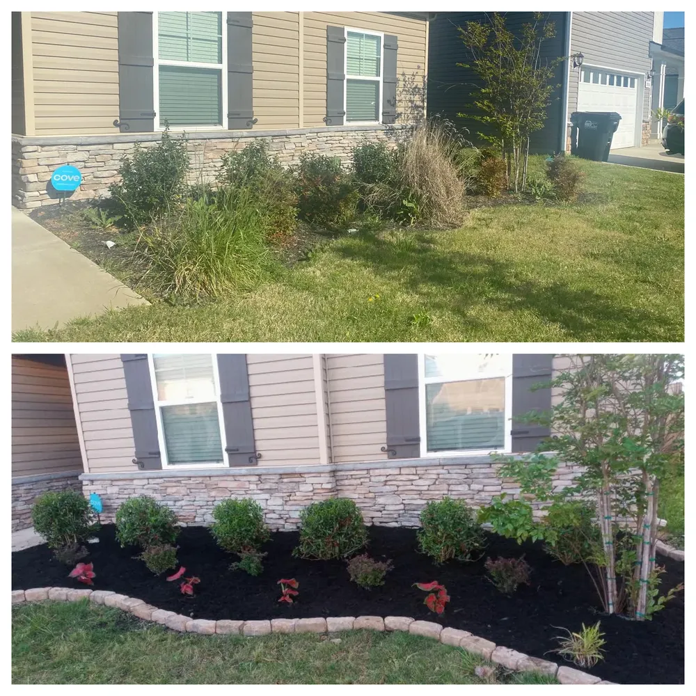 Tree Removal for Kimberley’s Trees in Saint Maries, ID