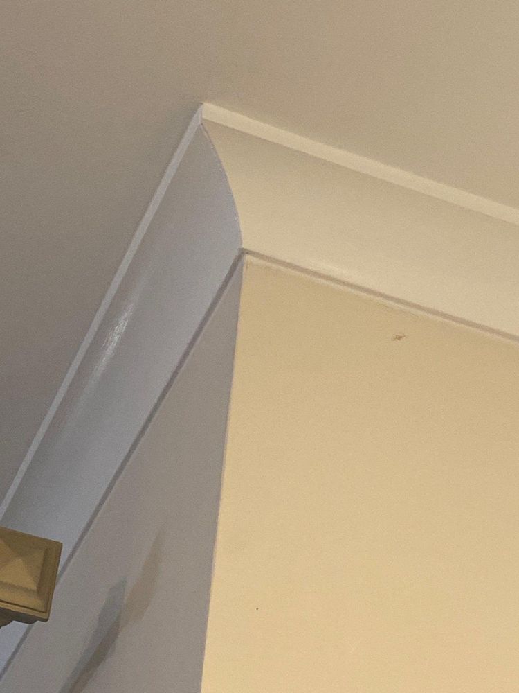 All Photos for ProMaster Painting in Clarksville, TN