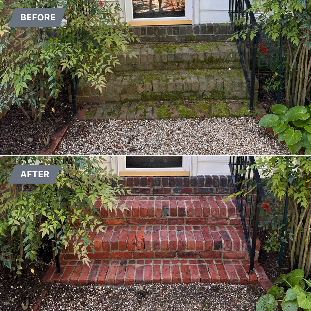 All Photos for LeafTide Solutions in Richmond, VA