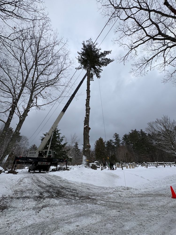 All Photos for Clifford’s Quality Tree Care & Landscaping in Enfield, NH