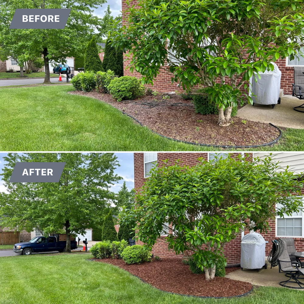 All Photos for Bellevue Lawn and Landscaping in Bellevue,  TN