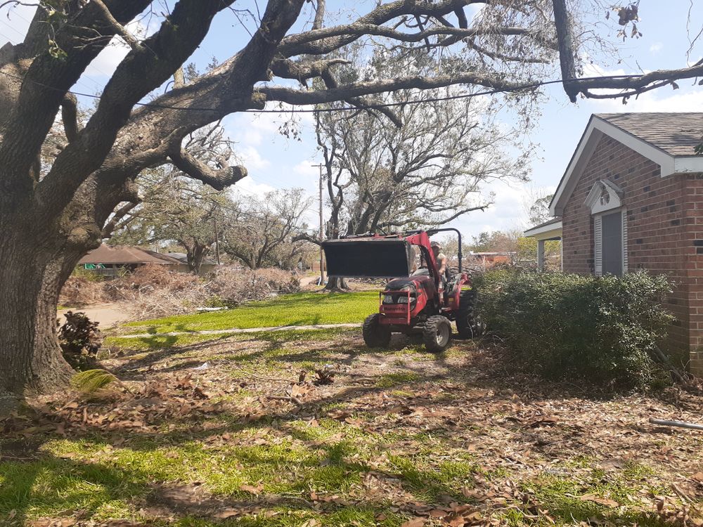 All Photos for Professional Tree Service USA in Chattanooga, TN