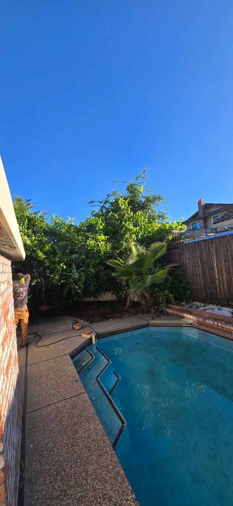 All Photos for George Staddan's Professional Tree Care in Placerville, CA