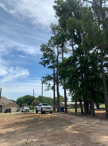 All Photos for Teague Trees and Land Clearing in Rendon, TX