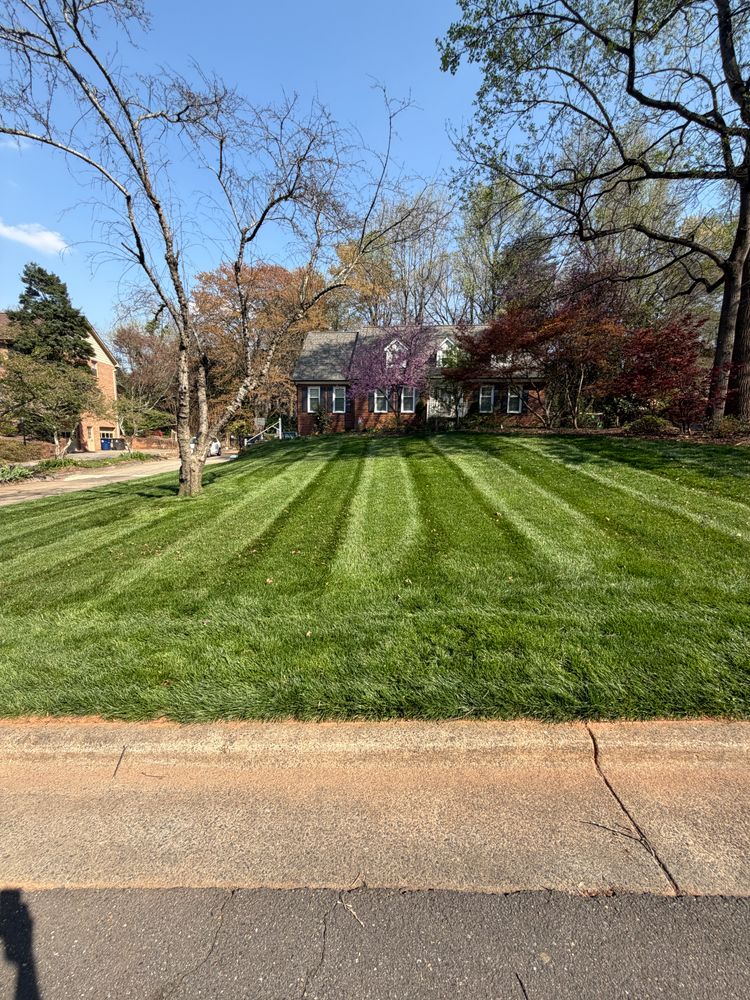 All Photos for Holloway Yard Company in Winston-Salem, NC