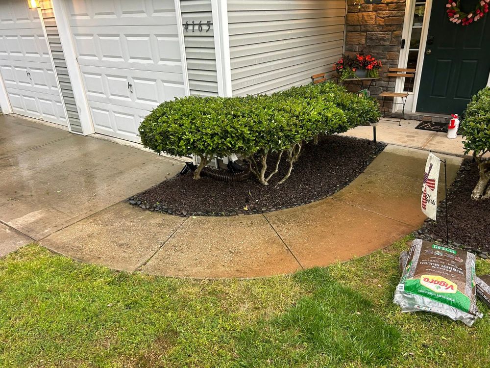 Enhance your home's curb appeal with our expert shrub trimming service. Our skilled team ensures precise shaping and healthy growth, creating a polished look that complements your landscape beautifully. for Durham Right Lawn Services in Rock Hill, SC