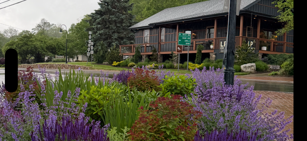 Transform your landscape with our Perennial Garden design and install service, offering vibrant, low-maintenance flowers that bloom year-round. Enhance your home's curb appeal while enjoying sustainable beauty for years to come! for Sustainable Lawn and Landscape in Banner Elk, NC
