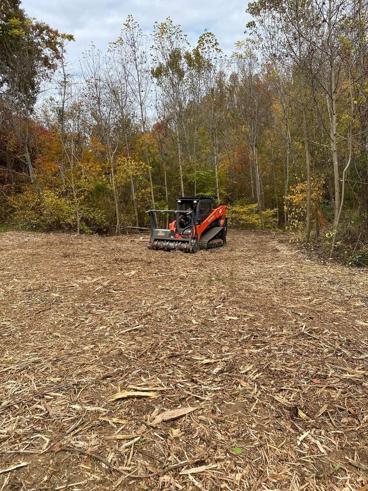 All Photos for Southern Land Solutions Forestry Mulching, LLC in Cleveland, NC