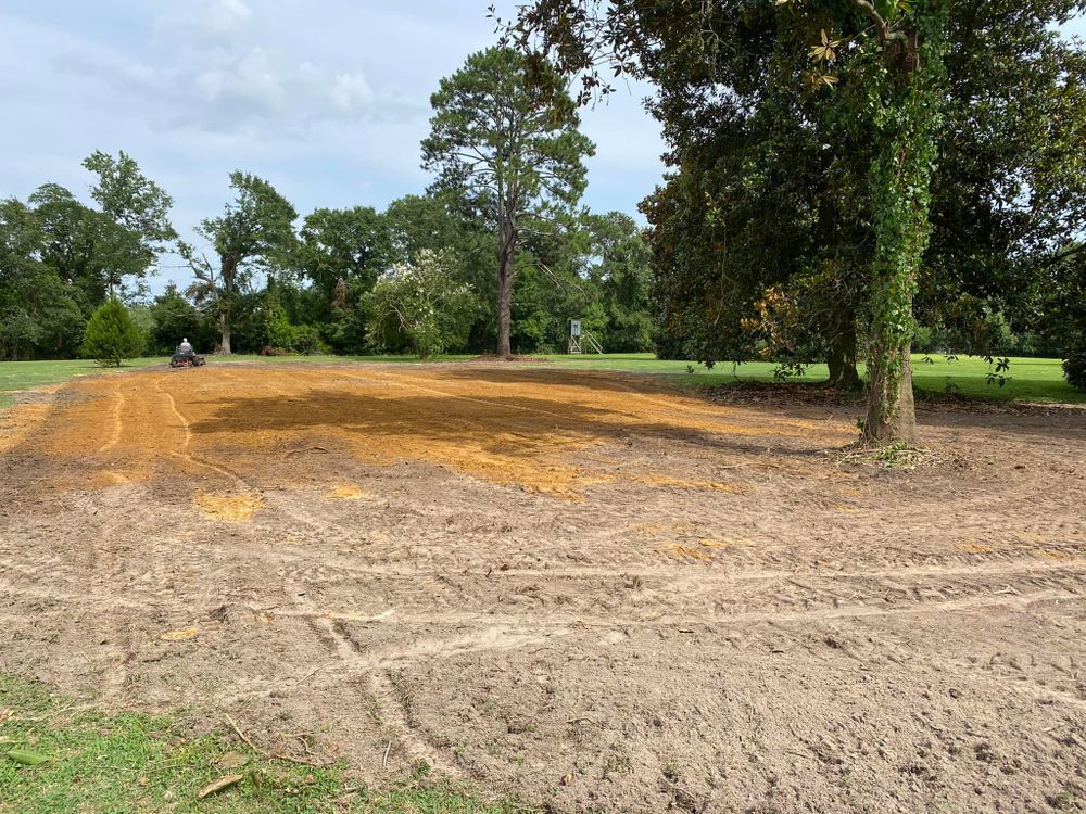 Our Stump Removal service efficiently eliminates unsightly stumps, enhancing your landscape's appearance and health, preventing pest infestations, and freeing up space for new plantings or landscaping projects. for Donnie's Tree Services in Wilson, NC