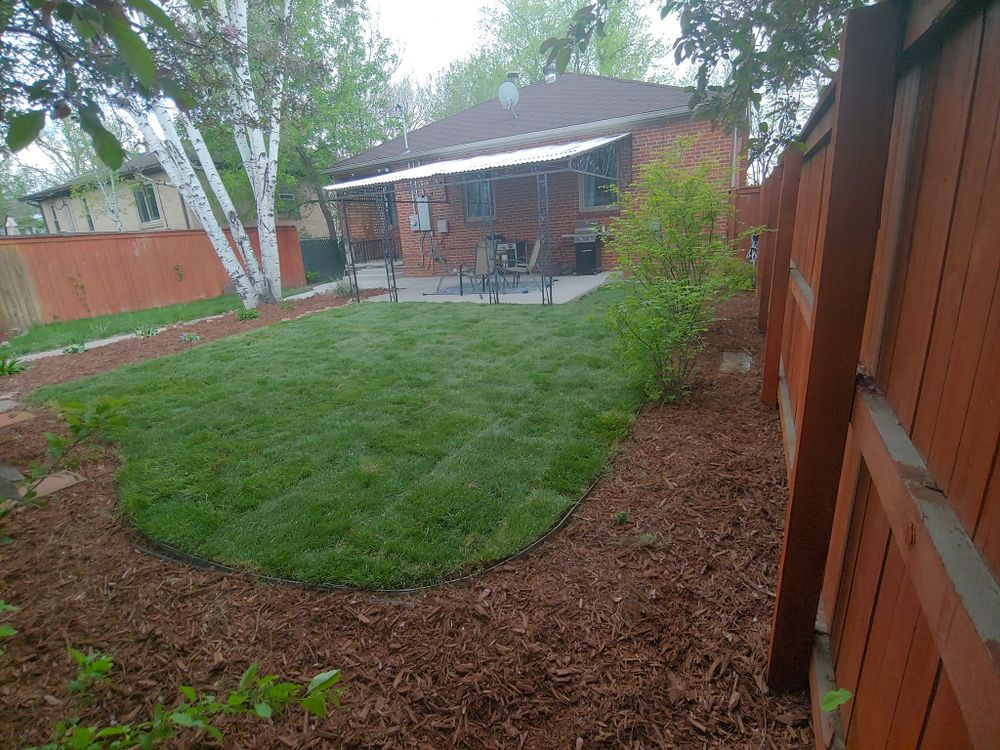 Landscaping for NGL Landscape Company in Denver, CO