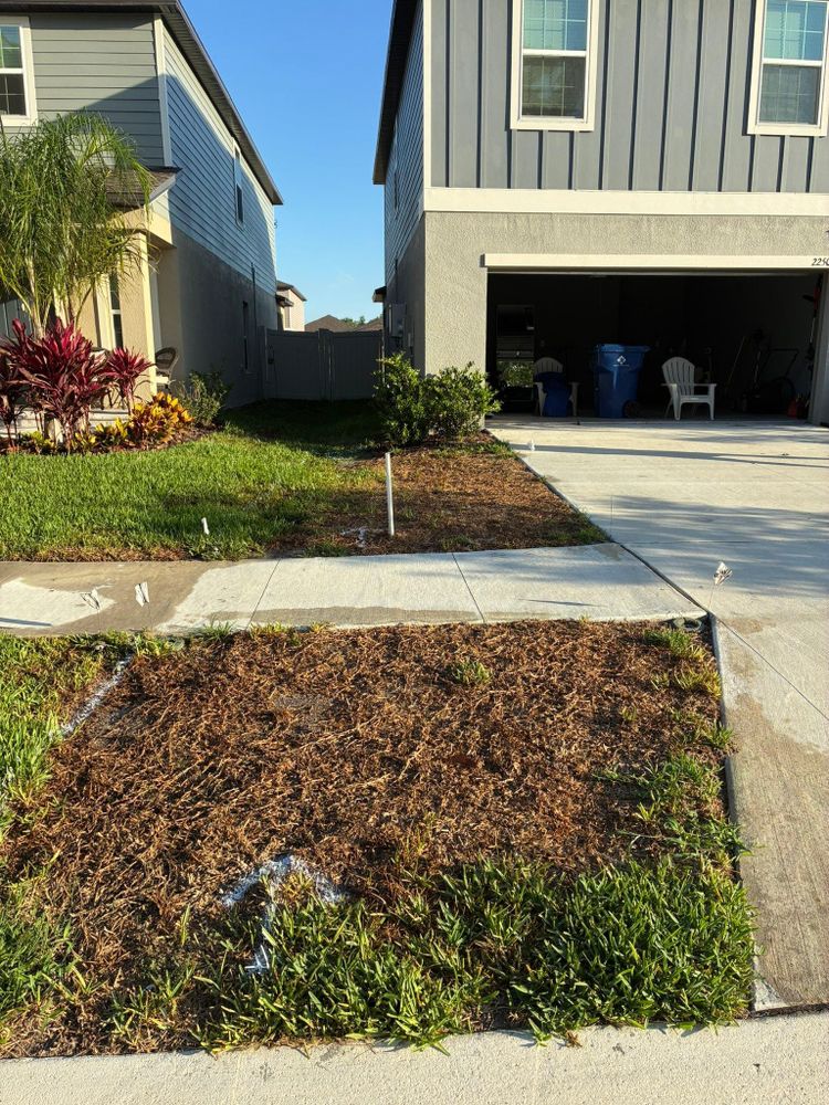 All Photos for Gulf Bay Sod in Clearwater, FL