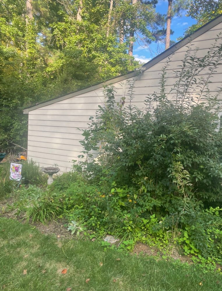 All Photos for Richmond Renovation Specialist LLC  in Chesterfield, VA