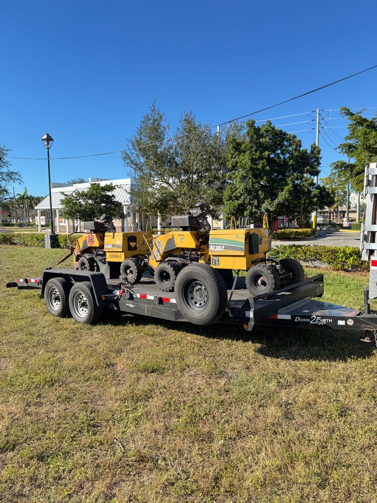 All Photos for Sam's Tree Service in Miami Beach,  FL