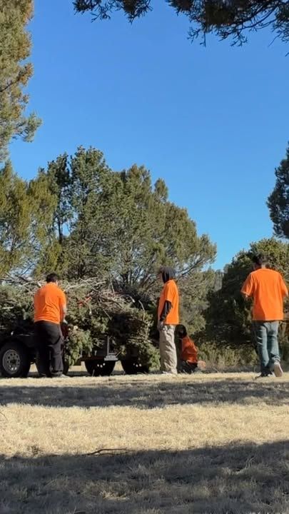 All Photos for G&B Yard Service in Ruidoso Downs, NM