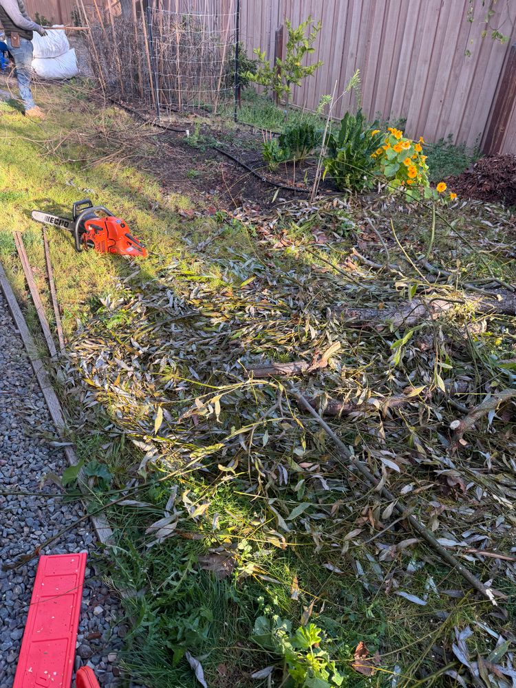 All Photos for CBA Landscaping in Hayward, CA