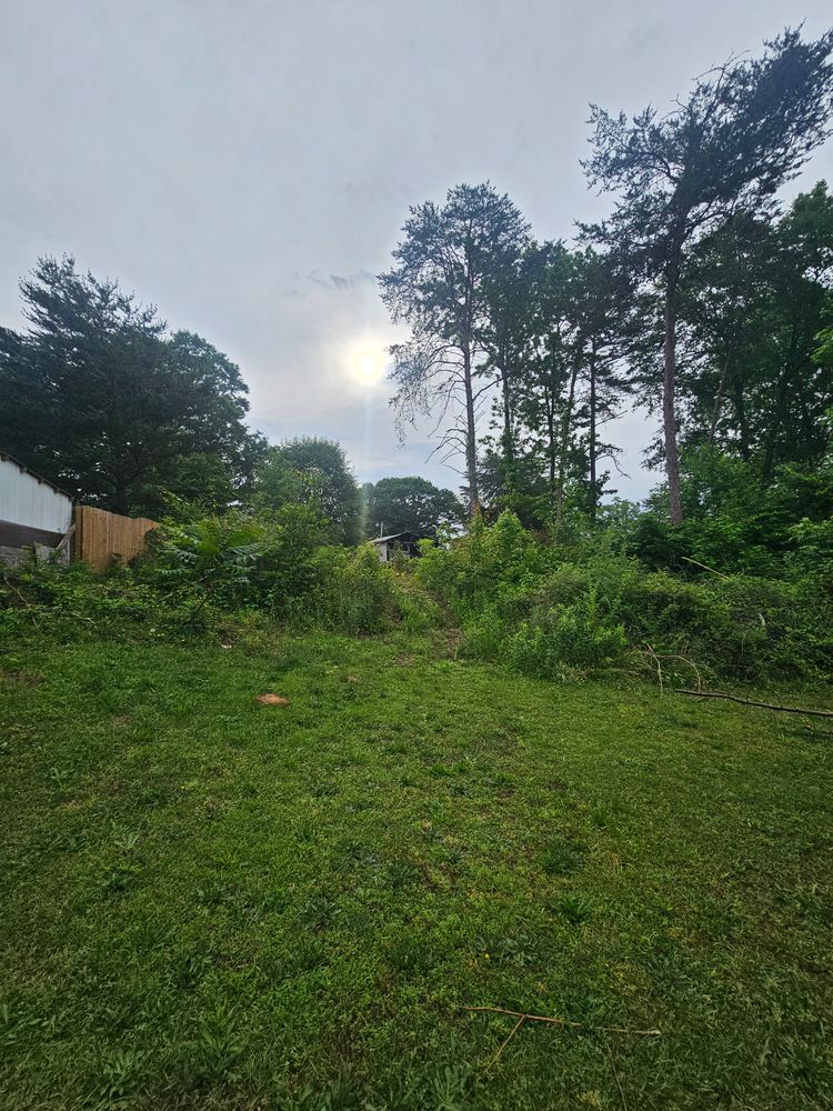 All Photos for Sasquatch Tree Services LLC in Spartanburg, SC