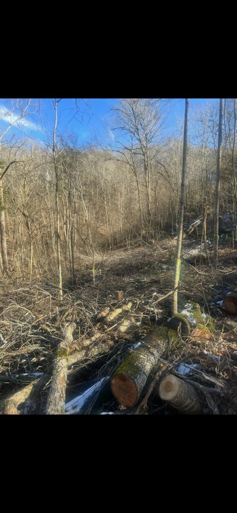 All Photos for Z's Land Management & Forestry Mulching in Smithville, TN