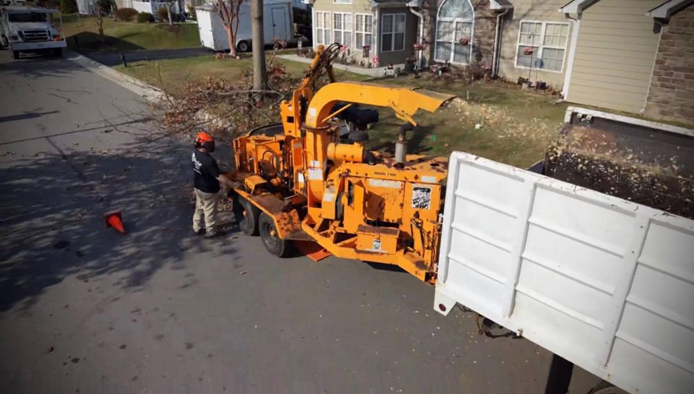 All Photos for Hamlett Tree Service LLC in Clover, VA