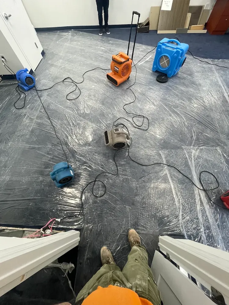 All Photos for CertaClean Restoration in Yonkers, NY