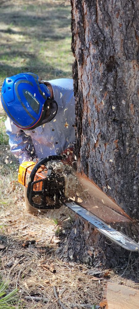 Our Emergency Tree Services provide rapid, professional response to storm damage and hazardous situations, ensuring your property's safety and minimizing further risk with expert tree removal and debris clearance anytime you need it. for StockPro Tree Specialists in Show Low, AZ