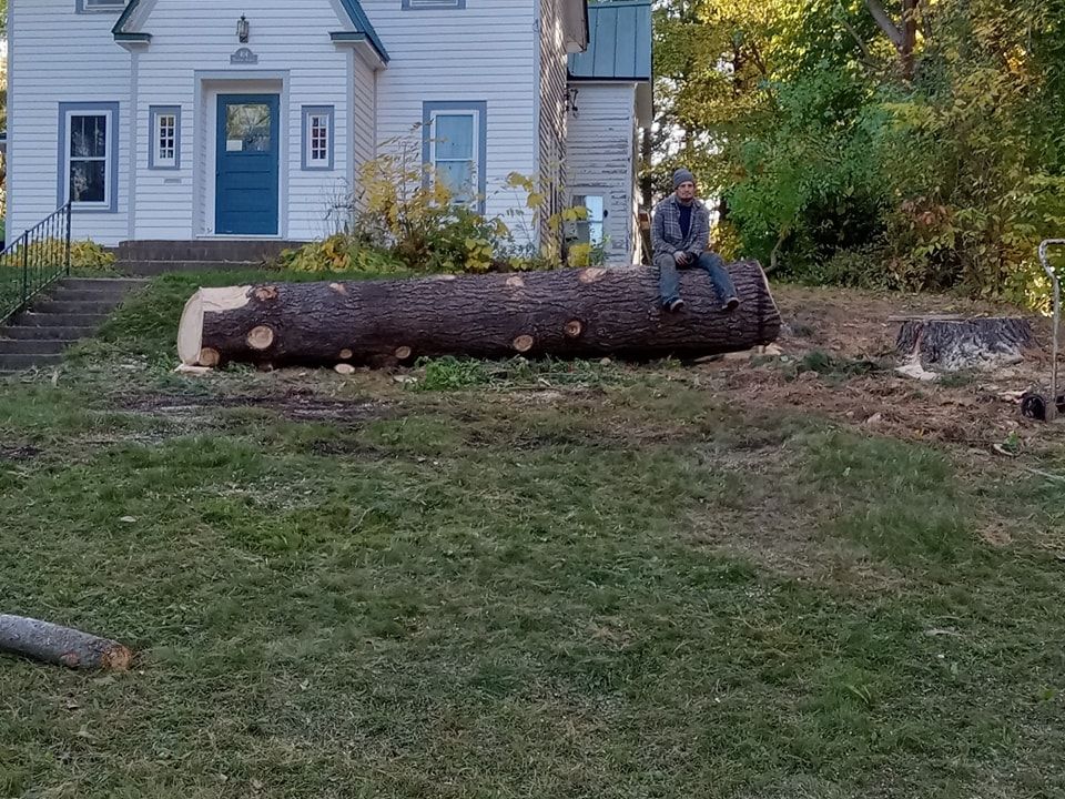 Tree Removal for A.M. Forestry LLC in Nekoosa, WI