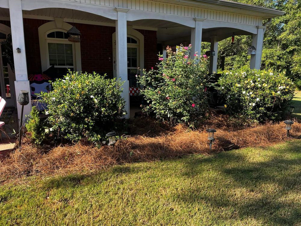 Enhance your landscape's health and beauty with our expert Tree & Shrub Care services, ensuring thriving plants through personalized pruning, disease management, and nutrient enrichment for lush foliage year-round. for Southern Outdoors Landscaping in Covington, GA