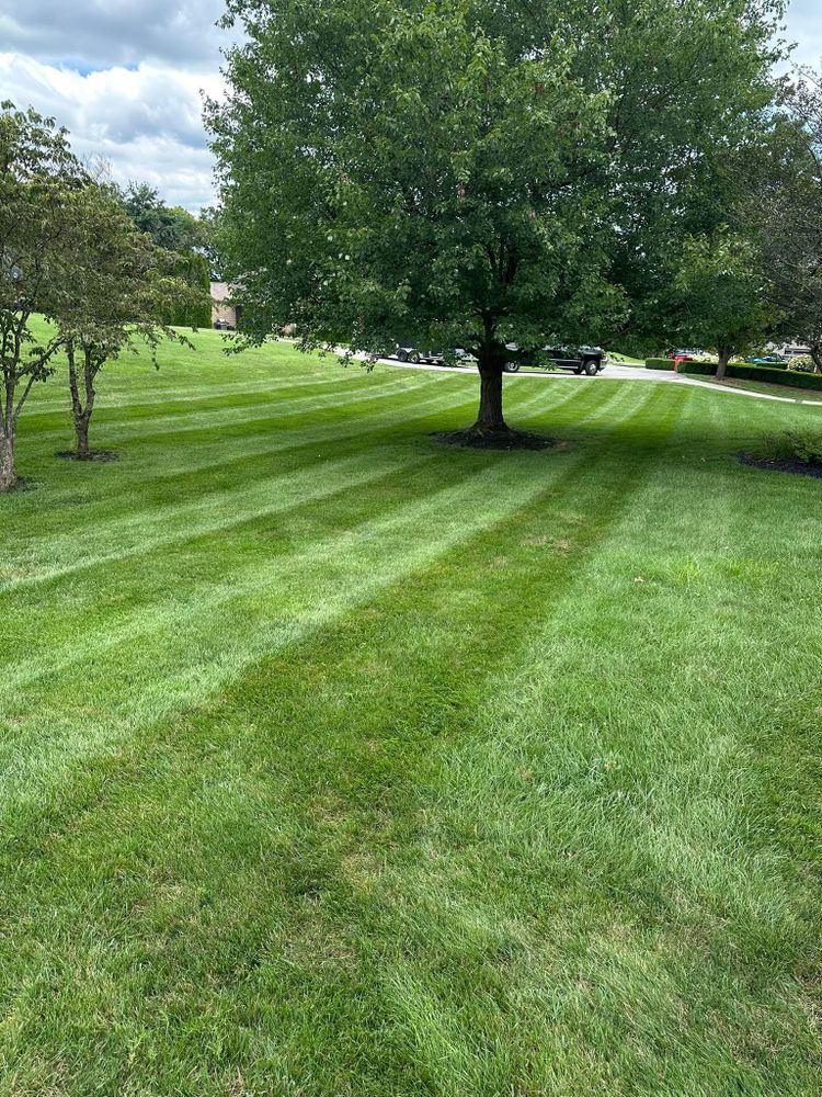 All Photos for JKL Lawn Service in Frankfort, KY