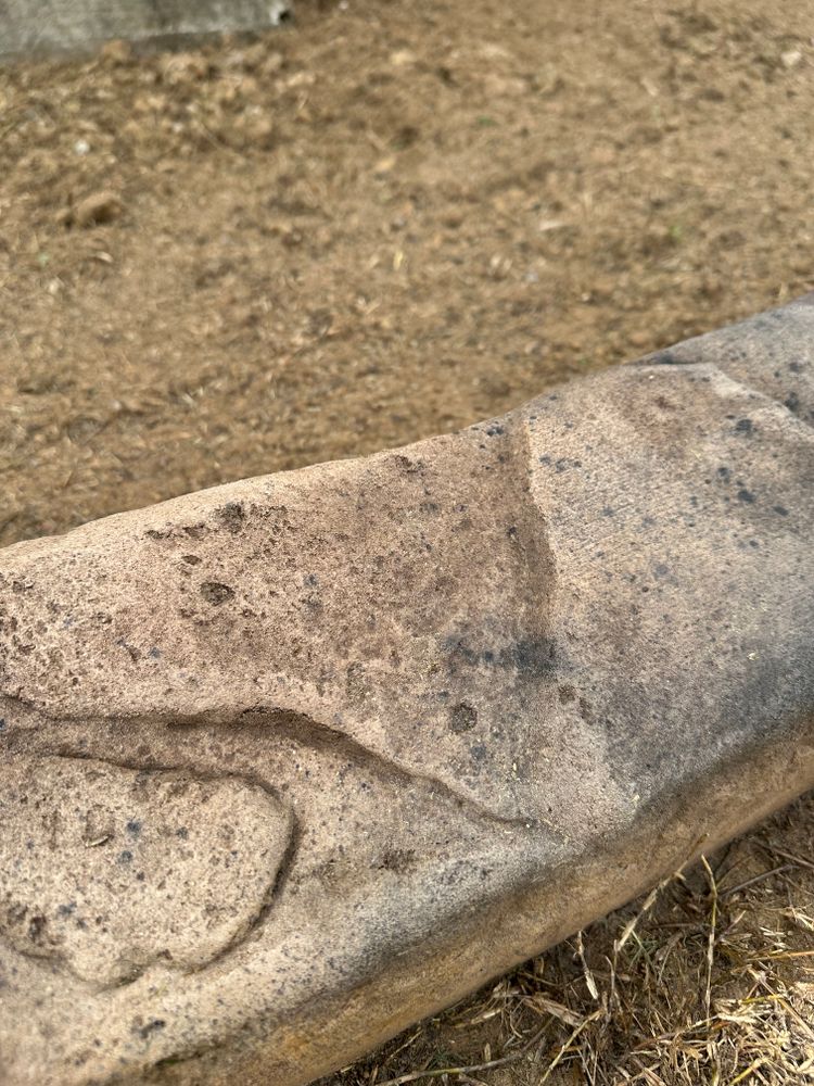 All Photos for Texas Curb N Borders in Houston, TX