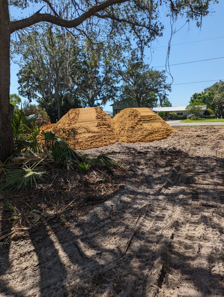 All Photos for Regal Tree Service and Stump Grinding in Wauchula, FL