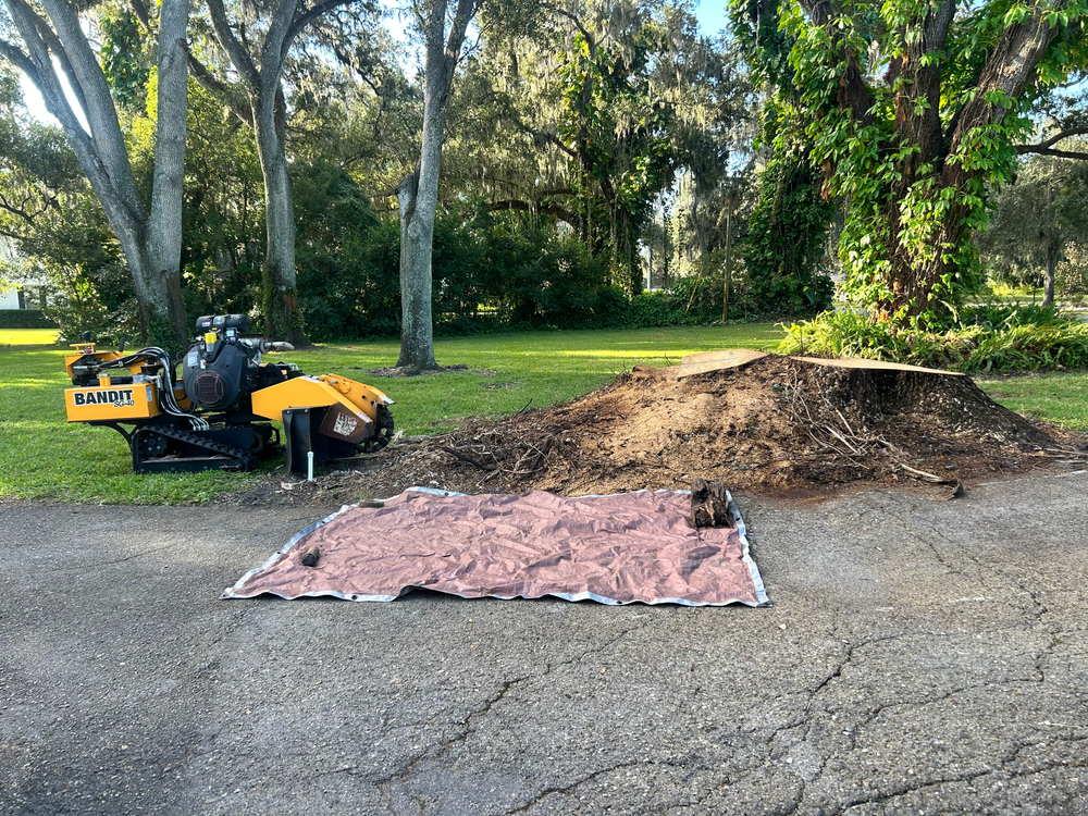 All Photos for Greene Acres Stump Grinding in Plant City, FL