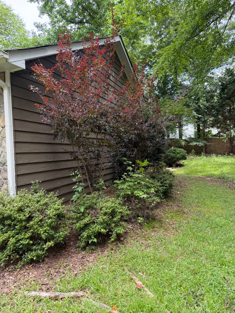 All Photos for Fantastic Lawn Care LLC in Fayetteville, GA