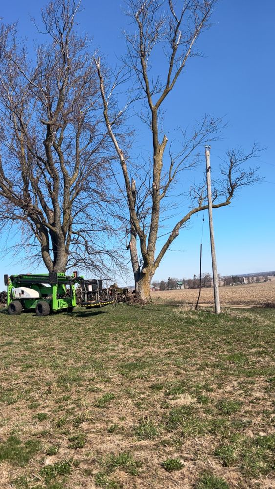 All Photos for Fransen's Tree Service  in Freeport, IL