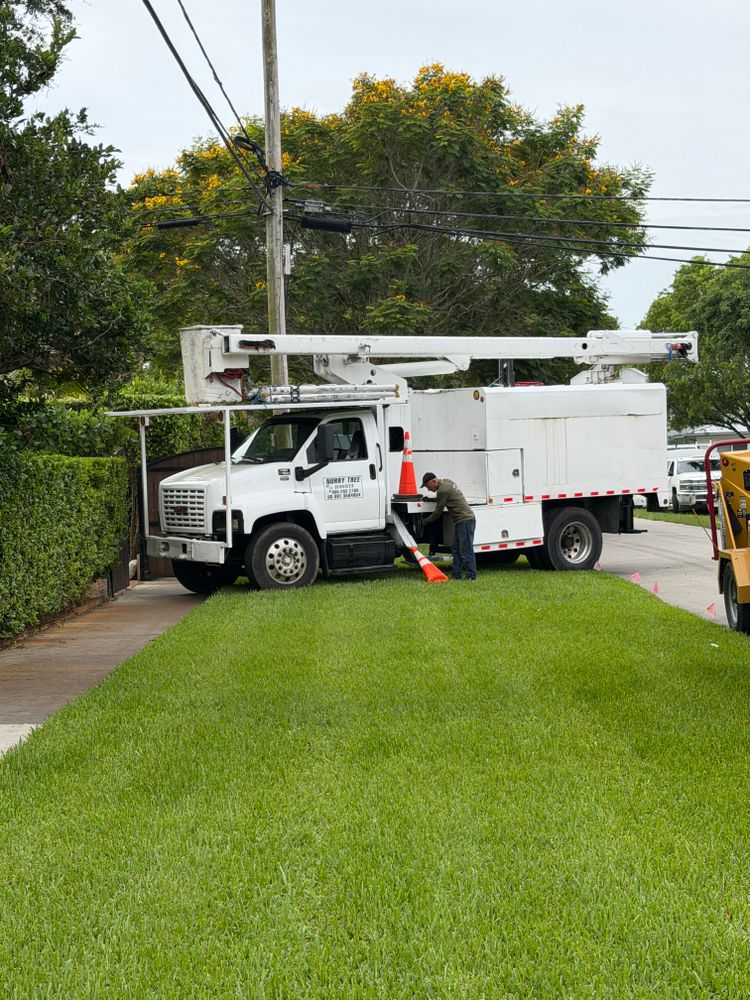 All Photos for Nurry Tree Services in Miami, FL