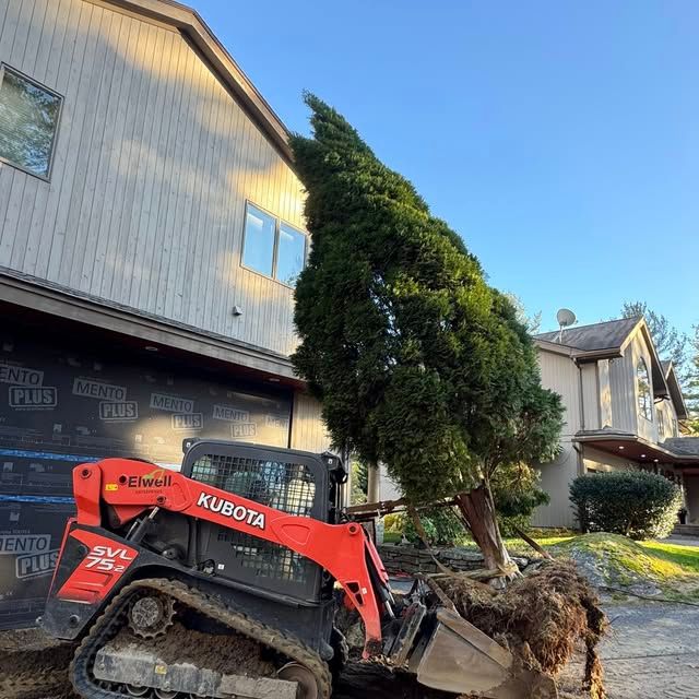 All Photos for Natural Roots Inc in Georgetown, ME