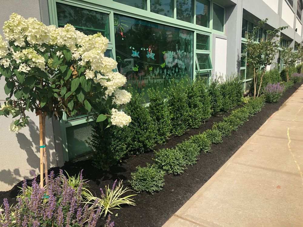 Landscaping for Elegant Lawns & Landscaping in Inwood, NY