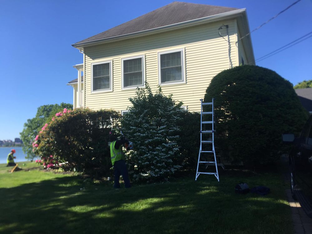 Our Shrub Trimming service includes expertly shaping and maintaining shrubs to enhance the overall appearance of your property, ensuring we are healthy and properly manicured. Contact us for a quote. for Green In Green Out Tree Services in Westbrook, ME