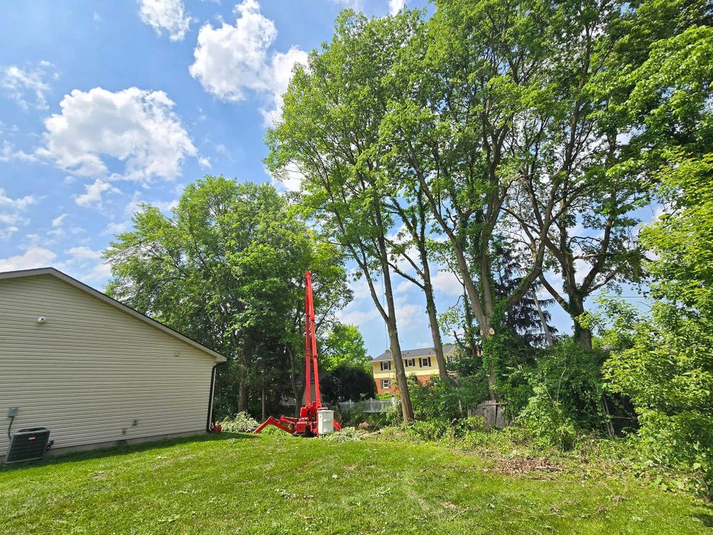 All Photos for F & F Tree Service in Beavercreek, OH