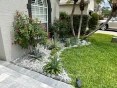 All Photos for Golden Landscape & Tree Care in St. Petersburg, Fl
